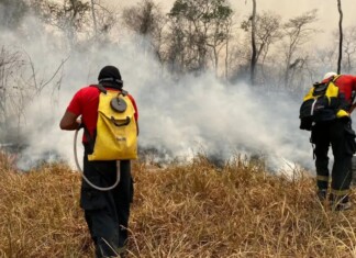 Brasil e Bolívia firmam parceria para enfrentar incêndios em áreas fronteiriças