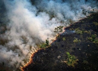 STF exige ação conjunta da união no combate a incêndios no Pantanal e Amazônia