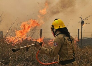 Corpo de Bombeiros intensifica ação em Boca do Acre e combate milhares de focos de incêndio