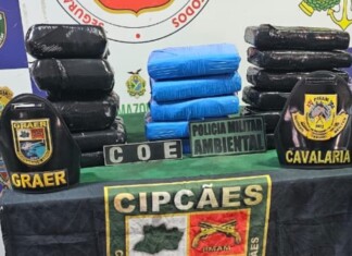 Base Arpão 1: Cadela de faro para narcóticos localiza mais de 30kg de entorpecentes avaliados em R$1,5 milhão