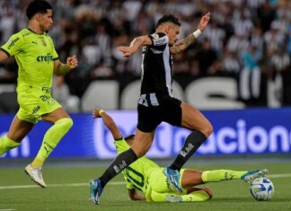Chances de título do Botafogo no Brasileiro despencam após Palmeiras assumir a liderança