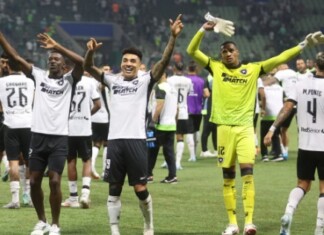 Botafogo conquista título inédito da Libertadores