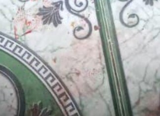 Cenas Fortes! Homem com tornozeleira eletrônica é assassinado no Nossa Senhora de Fátima