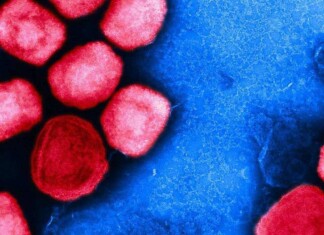 OMS reitera que Mpox é uma emergência de saúde pública internacional