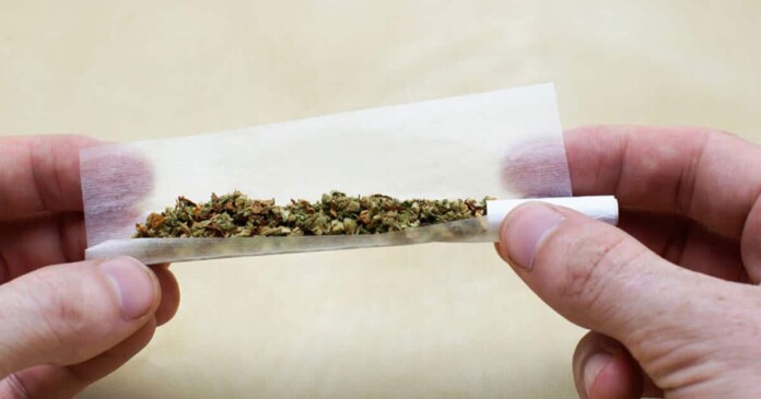 Como-bolar-um-baseado-Greenery-Maps-1