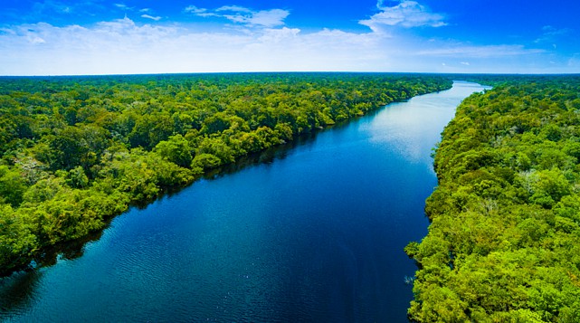 nossosconteudos_biomas_amazonia_vocesabia_shutterstock_126689
