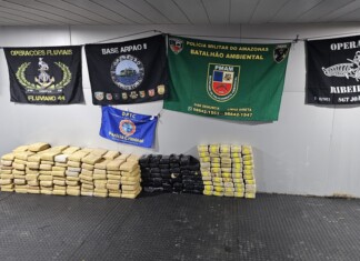 Base Arpão 2: SSP-AM registra apreensão de 250 quilos de maconha, no rio Negro, em Novo Airão
