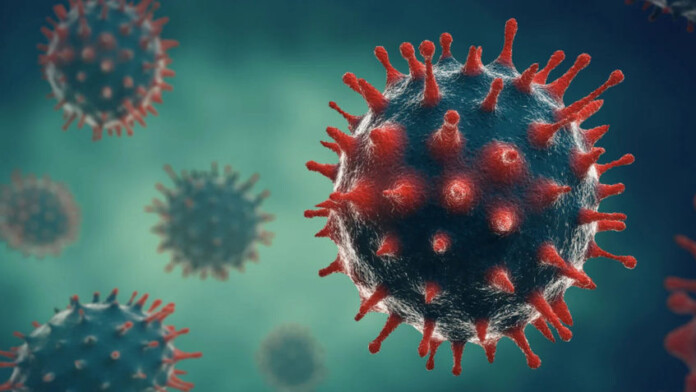 covid-19-virus-opas-848x477