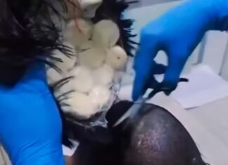 Preso em aeroporto: colombiano tentava levar cocaína escondida na peruca para a Europa