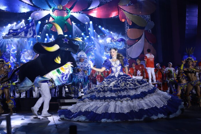 cultura_carnaboi_2004_marcely_gomes_04-1536x1024