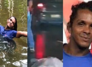 Buiu não resiste após ser atropelada por dois carros na avenida Coronel Teixeira