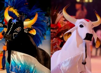 Temporada 2026: Caprichoso e Garantido revelam programação oficial