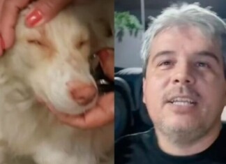 Justiça decreta prisão preventiva de homem acusado de espancar cadela em Manaus