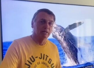 Bolsonaro não será indiciado por importunação de baleia, decide MPF