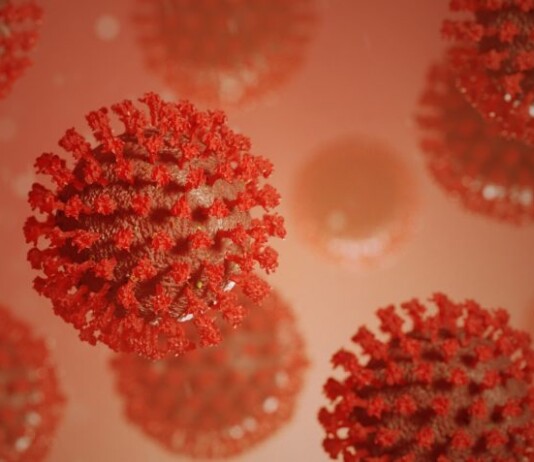 Em 11 de março de 2020, a OMS oficializou a covid-19 como pandemia global