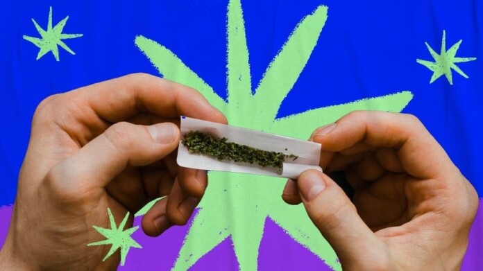 oqaq---maconha-1722877274703_v2_900x506