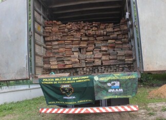 Ipaam e Polícia Militar apreendem 25 metros cúbicos de madeira ilegal em Manacapuru