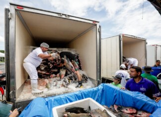 Peixe no Prato Solidário: Governador Wilson Lima entrega mais de 300 toneladas de pescado para instituições
