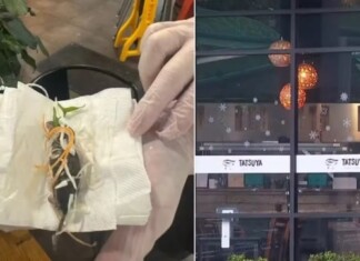 Restaurante se desculpa após servir rato em salada para grávida