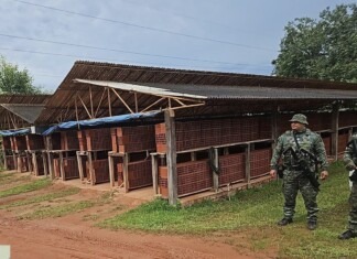 Ipaam e Batalhão Ambiental embargam três indústrias de cerâmicas ilegais na Rodovia AM-070