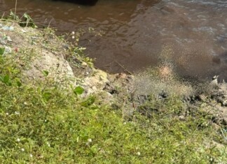 Cena +18: Polícia encontra corpo boiando na Ponta Negra, zona Oeste de Manaus