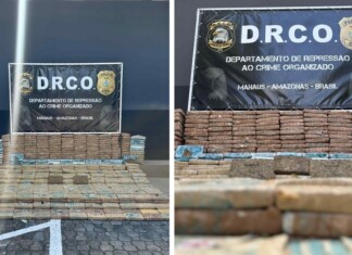 PC-AM apreende 600 quilos de maconha tipo skunk, a sexta ocorrência em 12 dias