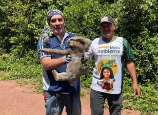 Ação ambiental: Prefeitura realiza soltura de animais silvestres em parceria com biólogo voluntário em Itacoatiara