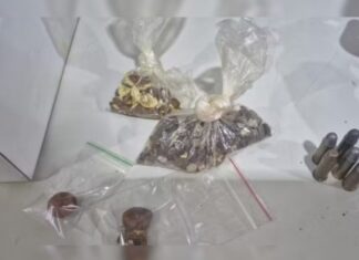 Polícia prende dupla por furto e comércio ilegal de pedras de vesícula de boi, o chamado “ouro bovino”