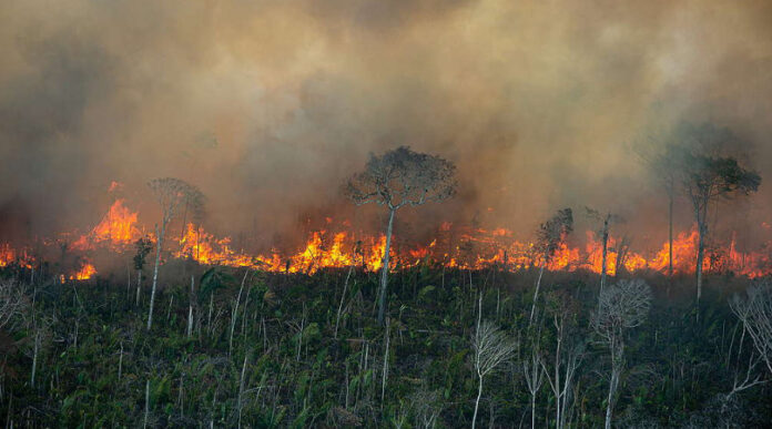 focos-queimadas-Amazonia