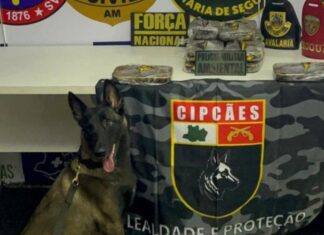 Base Arpão 3: Cadela policial encontra 13 quilos de cocaína escondido em armário de embarcação