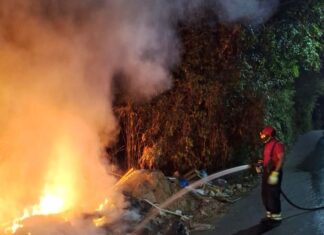 Em 10 dias, Corpo de Bombeiros atendeu 53 ocorrências de incêndio em vegetação urbana e lixeiras clandestinas em Manaus