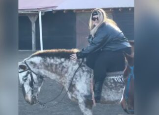 Thais Carla compartilha momento especial após bariátrica e primeira experiência montando cavalo