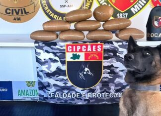 Base Arpão 3: Em duas ações distintas, PMAM apreende mais de 26 quilos de drogas em embarcações