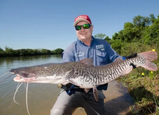 Temporada de pesca esportiva começa em agosto e movimenta R$ 500 milhões no Amazonas