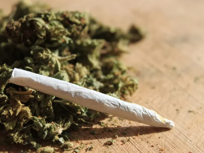 saude-maconha