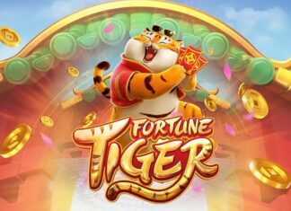 Influenciadores de Manaus temem avanço de operação que investiga esquema bilionário do jogo do tigrinho