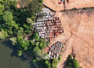 Ipaam aplica R$ 4,4 milhões em multas por extração ilegal de madeira na RDS do Juma, em Novo Aripuanã