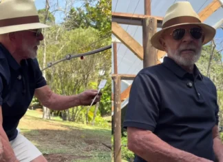 Lula usa plantio de uvas no Alvorada para responder a tarifas impostas pelos EUA