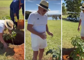 Presidente Lula cultiva baobá no Alvorada com mensagem de responsabilidade para sucessores