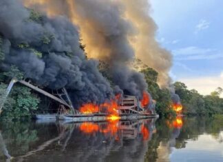 MPF recomenda destruição de balsas e dragas no Amazonas e Ibama anuncia cumprimento