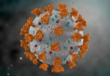 Covid-19 continua circulando no país e casos voltam a crescer