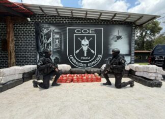 Polícia Militar do Amazonas apreende 1,4 tonelada de drogas em Santa Isabel do Rio Negro