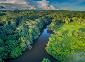 Estudo da USP mostra impactos do desmatamento: menos chuvas e mais calor na Amazônia