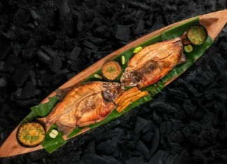 FIGA 2025 celebra cultura e sabores da Amazônia com programação diversificada