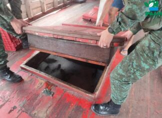 Ipaam e Batalhão Ambiental da PM apreendem cinco toneladas de peixe sem documentação no bairro Educandos