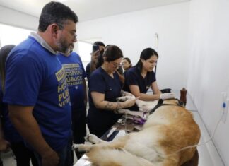 Governador do Amazonas inaugura maior Hospital Público Veterinário da América Latina