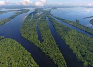 Órgão ambiental pede esclarecimentos à Petrobras antes da licença para exploração na Foz do Amazonas