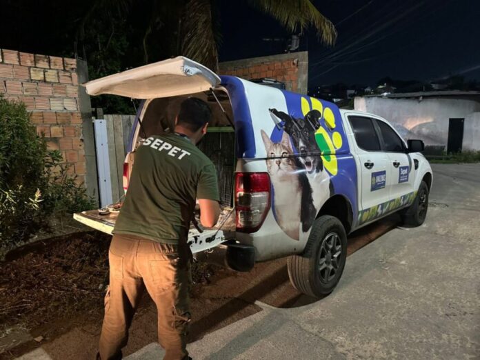 Divulgacao_Sepet_Rocao-1536x1152