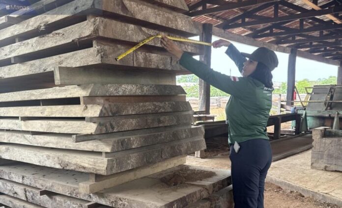 Ipaam_Em-outubro-Ipaam-libera-300-mil-metros-cubicos-de-madeira-para-producao-legal-no-Amazonas_Foto-3-Arquivo-Ipaam-06-11-2025-1536x936