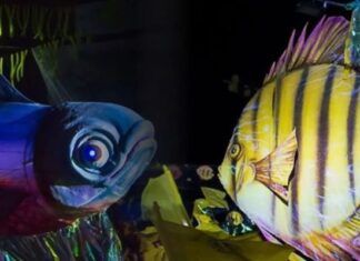 Prefeitura de Barcelos realiza lançamento oficial do XXX Festival do Peixe Ornamental no próximo dia 15 de novembro